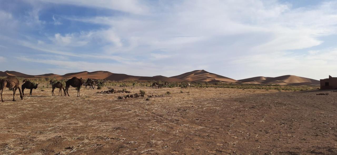 Erg Chegaga Camp Excursions Hotel M'Hamid Exterior photo